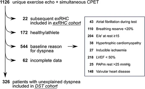 Frontiers | Exercise Systolic Reserve and Exercise Pulmonary