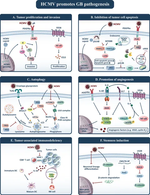 Frontiers | The Basis and Advances in Clinical Application of Frontiers | The Basis and Advances in Clinical Application of