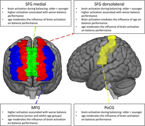 おうちトレーニング　FOOT BRAIN ACTIVATION おうちトレーニング FOOT BRAIN ACTIVATION