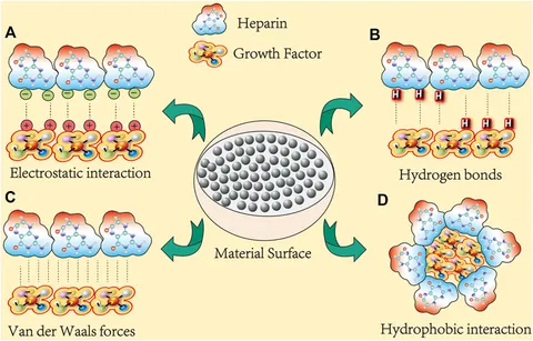 マーチンベイカー Frontiers | Genomic instability as a driver and suppressor