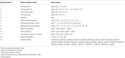 【2024年】高評価レビューアイテム特集 Haplotype | Frontiers Analysis for Genomes Chloroplast of 水着・ラッシュガード