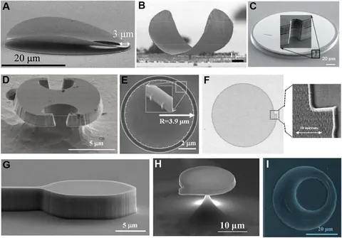 Frontiers | Research Progress of Gallium Nitride Microdisk
