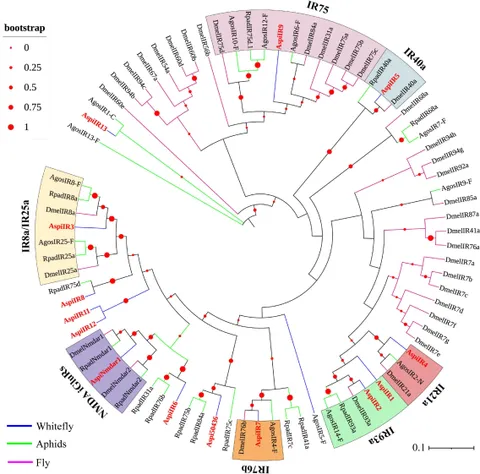 新作人気モデル Characterization | Frontiers of and Chemosensilla Antennal 歯ブラシ