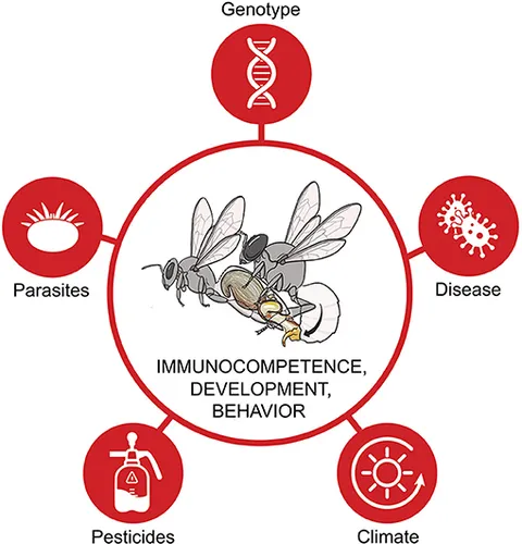 Frontiers | Editorial: Insect Fertility in a Changing