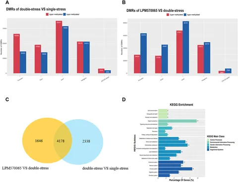Journal of Applied Polymer Science | Wiley Online Library