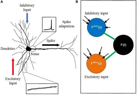 Amazon | 洋書 スパイキングニューロンモデル Spiking Neuron