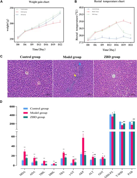 邦楽 C.I.A CHAOS INDUCED ANAKY CDR CIAZOO 邦楽 C.I.A CHAOS