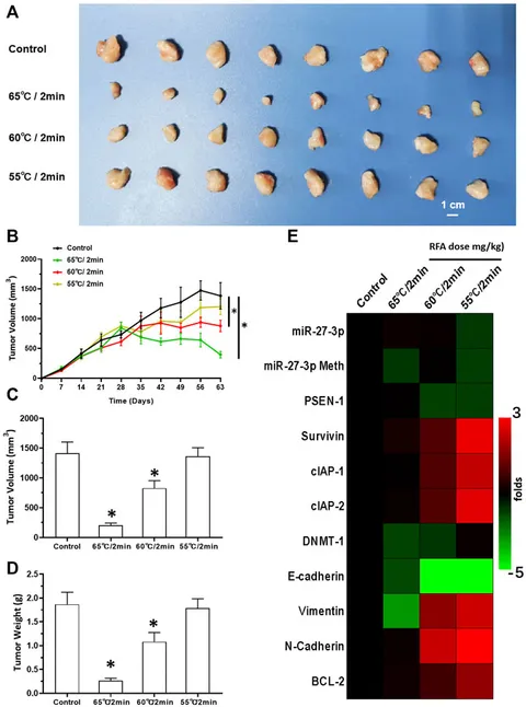 Frontiers | A Novel Small Molecular Inhibitor of DNMT1 Frontiers | A Novel Small Molecular Inhibitor of DNMT1