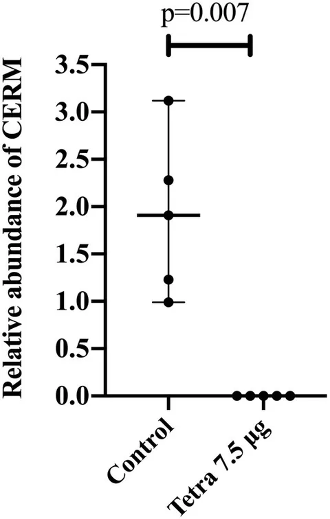 Frontiers | Coxiella Endosymbiont of Rhipicephalus microplus