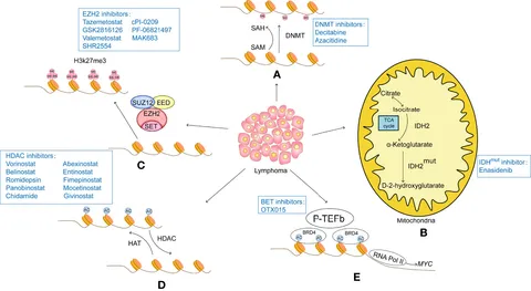レオナルド The role of epigenetic modifications in Colorectal Cancer