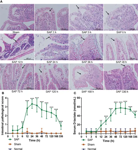 Frontiers | Dynamic Monitoring of Immunoinflammatory