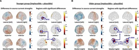 Frontiers | Aging-Related Dissociation of Spatial and Frontiers | Aging-Related Dissociation of Spatial and