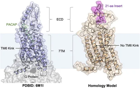 roughlow ラフロー docking ensemble 6-in-1 Multifunctional Docking Station