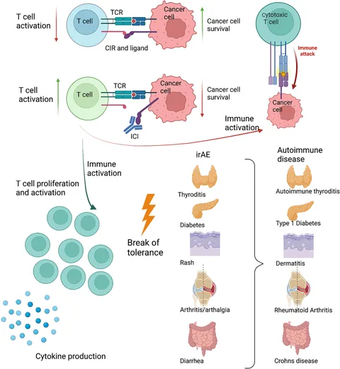 KIR Blockade: Empowering NK Cells for Superior Tumor