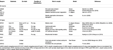 fphys-13-886261-t002.jpg