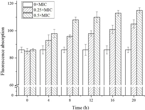 Frontiers | Inactivation of Salmonella typhimurium SL1344 by
