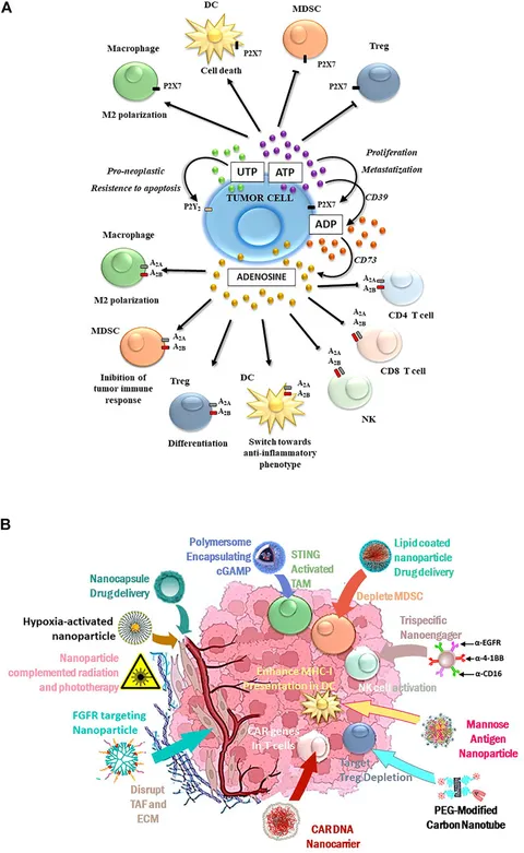 Frontiers | Potentiating Cancer Immune Therapy via