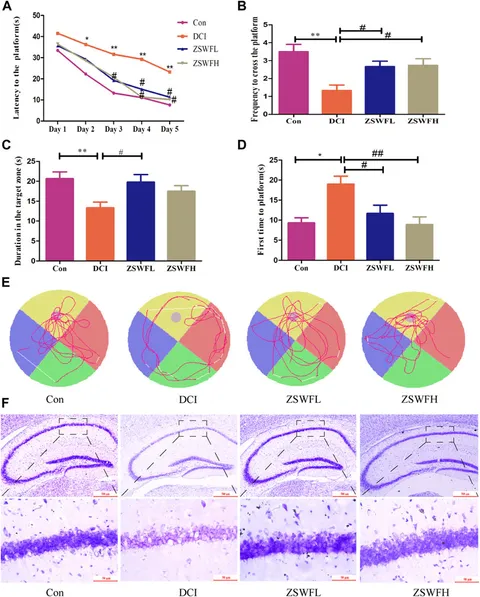 モダンオペレーティングシステム A Compound Screen Based on Isogenic hESC‐Derived β Cell