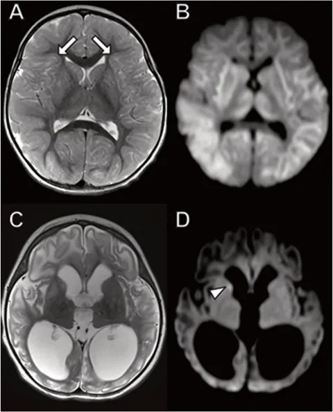 fmolb-09-908721-g005.jpg