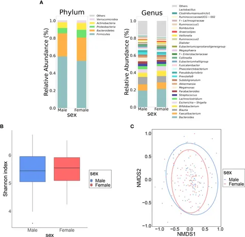 Hirohiro Nrf2 Pathway and Oxidative Stress as a Common Target for