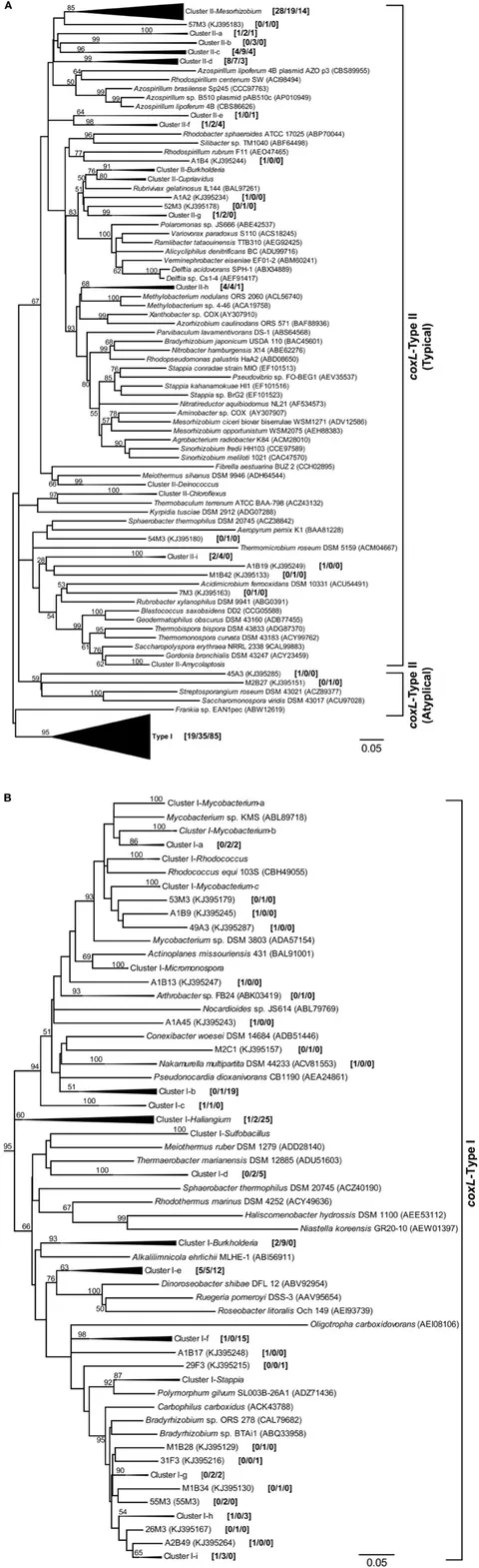 Frontiers | Land-use influences the distribution and