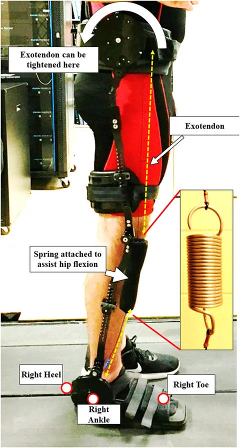 MOTION PALPATION OF THE EXTREMITY 上・下巻 四肢のモーションパルペーション(上巻)(下巻)セット : 科学新聞