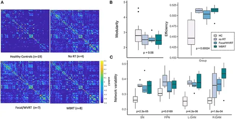 裁断済 The Parental Brain Michael Numan The Parental Brain