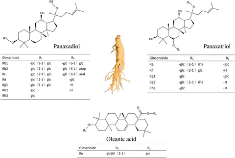 商品画像：Exosome nanovesicles as potential biomarkers and immune 2