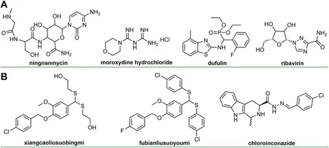 fchem-10-926202-g001.jpg