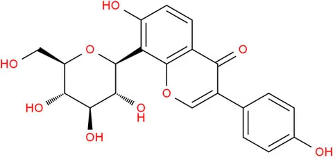 経典 protective A Puerarin: | Frontiers drug ischemia against デジタルカメラ