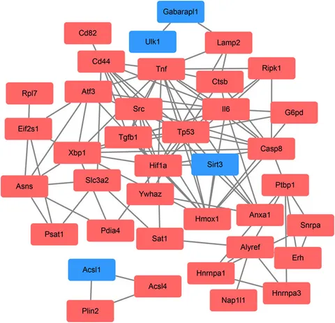 ユーザー Frontiers | Analysis of the potential ferroptosis mechanism
