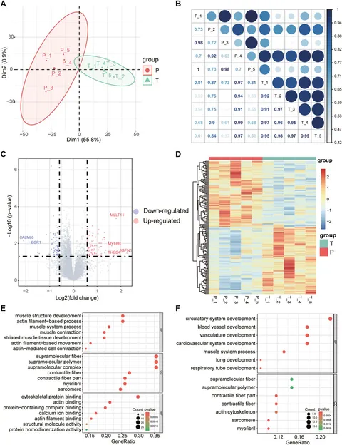 Frontiers | Systematic identification of aberrant non-coding