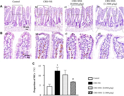 Frontiers | Ameliorative effect and mechanism of Si-Ni-San