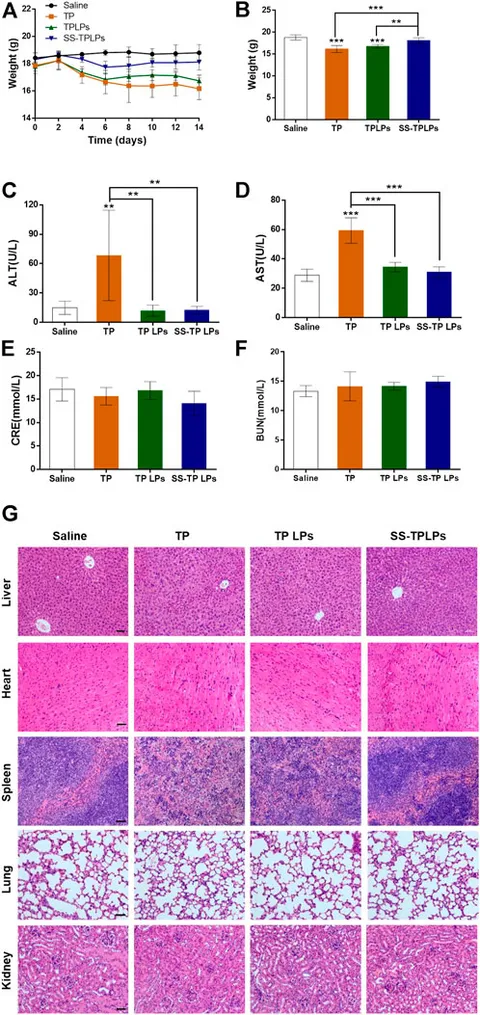 Frontiers | A mitochondria-targeted nano-platform for