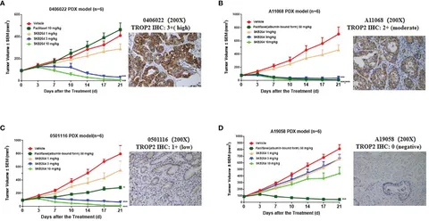 Frontiers | Preclinical profiles of SKB264, a novel anti