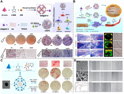 Frontiers | Metal-based nano-delivery platform for treating