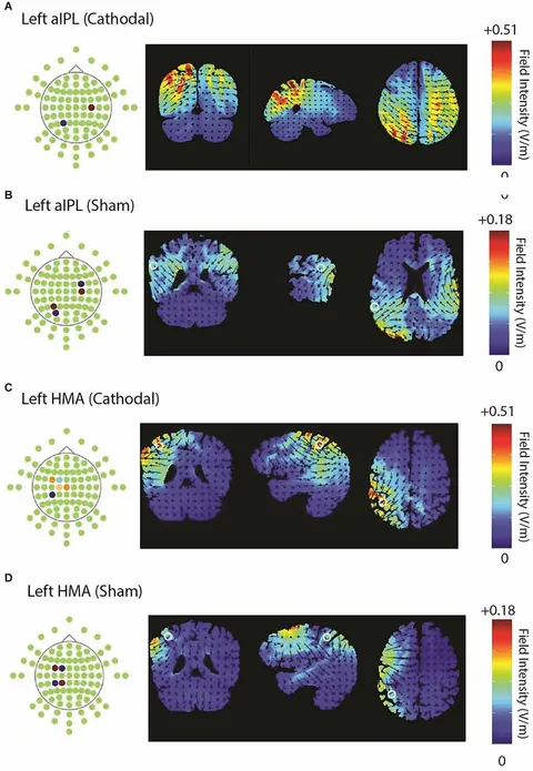 Advances in Cognitive Neurodynamics (VI): Proceedings of the Sixth International Conference on Cognitive Neurodynamics ? 2017 [ハードカバー] Delgado-Garc?a， Jos? M.、 Pan， Xiaochuan、 S?nchez-Campusano， Raude Advances in Cognitive Neurodynamics (VI) | PDF | Neural