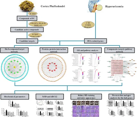 【爆売り！】 Frontiers | Integrating network pharmacology and クラフト・布製品