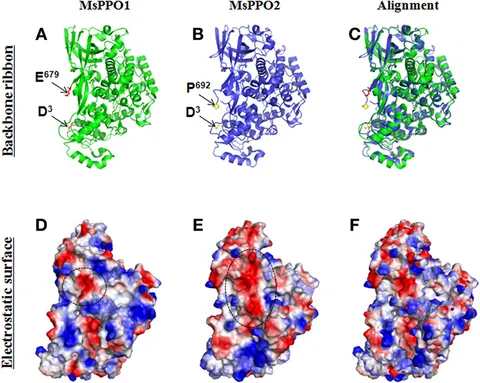 bymyself Fucoxanthin Prevents Long-Term Administration l-DOPA-Induced
