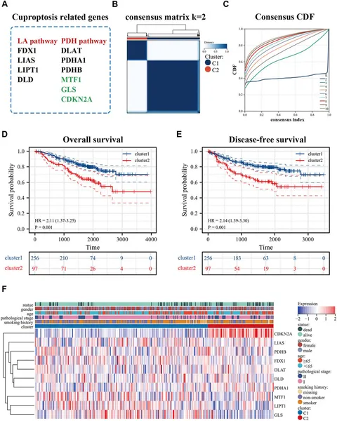 オーダー A high-quality genome assembly highlights the evolutionary