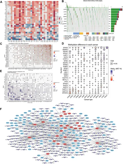 ののん Spatial Association Networks and Factors Influencing