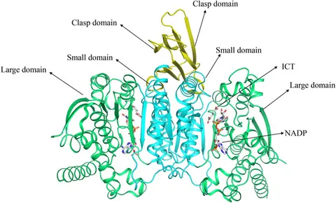 fphar-13-982424-g001.jpg