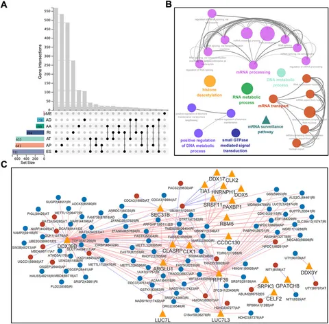 最安値で  Frontiers | Construction of the prognostic signature of 筆記具