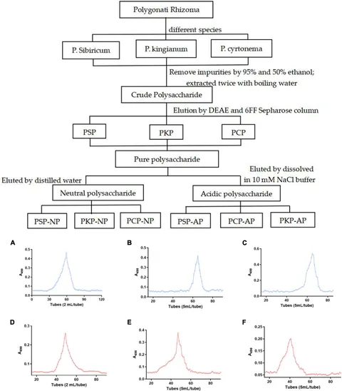 グランドホールセール Frontiers | Benefits of neutral polysaccharide from rhizomes 介護食品