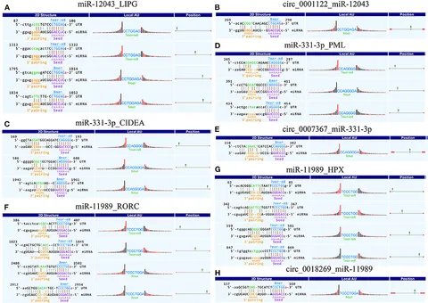 みるく Advances in Nanozyme Catalysis for Food Safety Detection: A