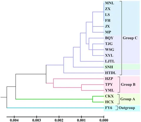 American Journal of Botany