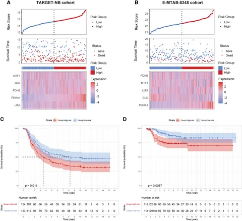 Frontiers | A novel cuproptosis-related subtypes and gene