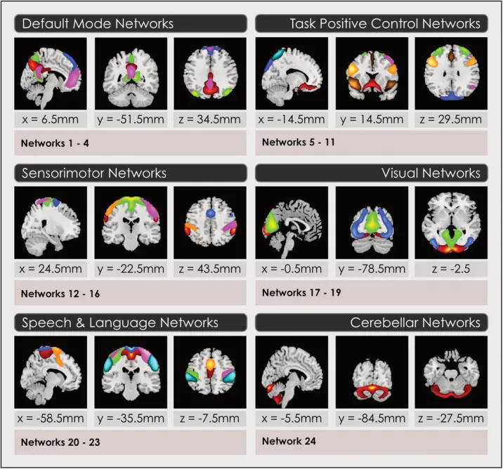 Multilevel Mapping of Sexual Dimorphism in Intrinsic Functional Brain Networks