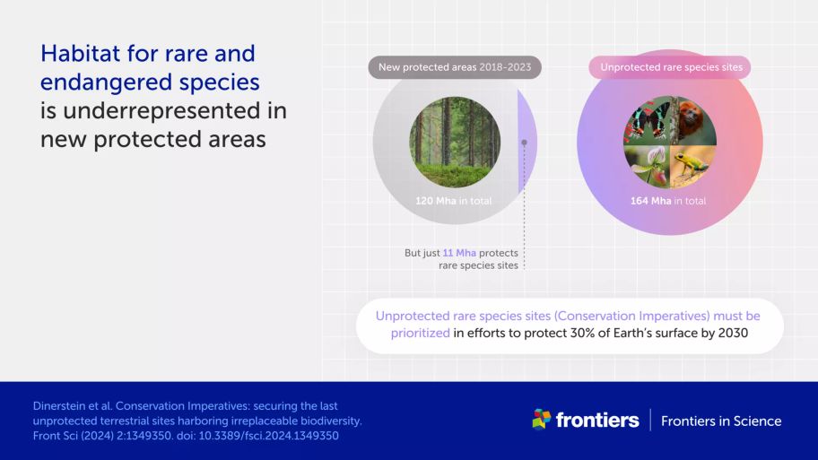 Infographic showing how habitat for rare and endangered species is underrepresented in new protected areas created 2018-2023