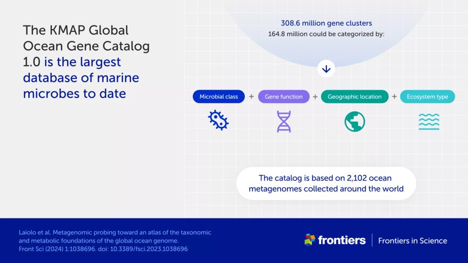 Infographic showing how the KMAP Global Ocean Gene Catalog 1.0 is categorized by microbial class, gene function, geographic location, and ecosystem type